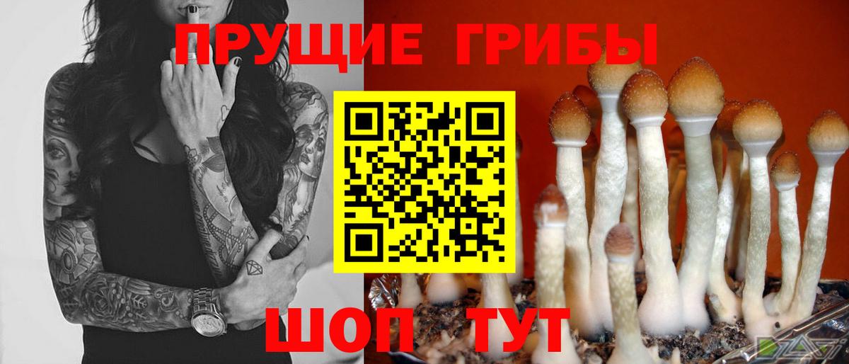 Галлюциногенные грибы прущие грибы Советск