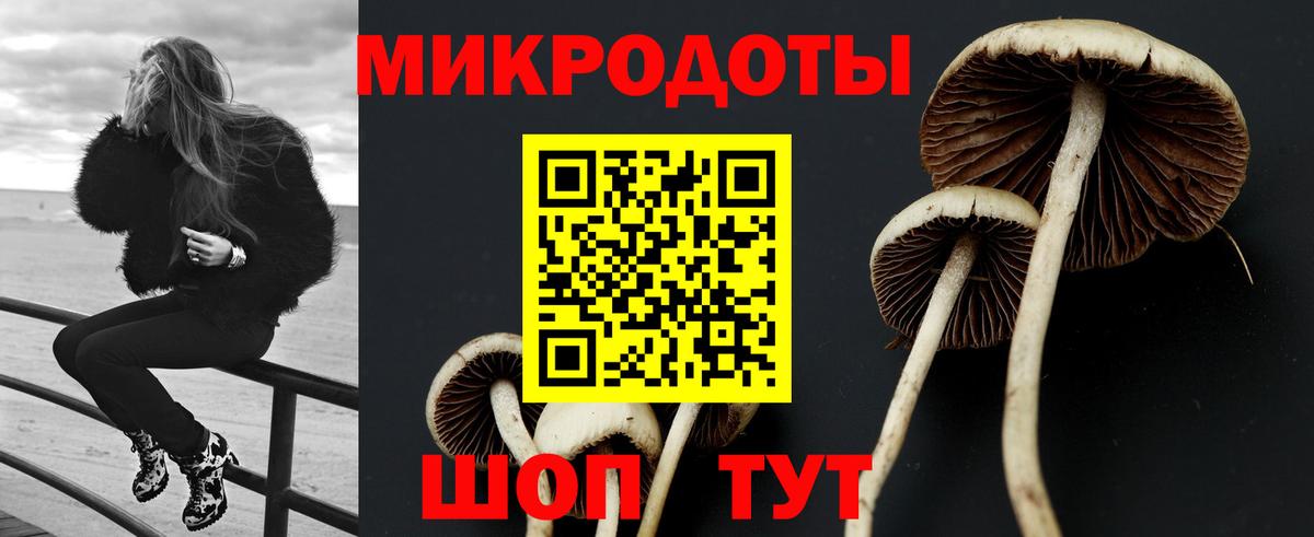 Советск  Галлюциногенные грибы ЛСД  Галлюциногенные грибы прущие грибы  Вход с VPN 